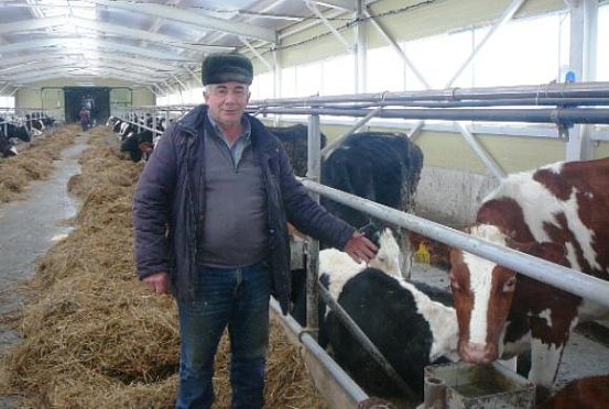 Белинский фермер сдает в день по 2 тонны молока на завод
