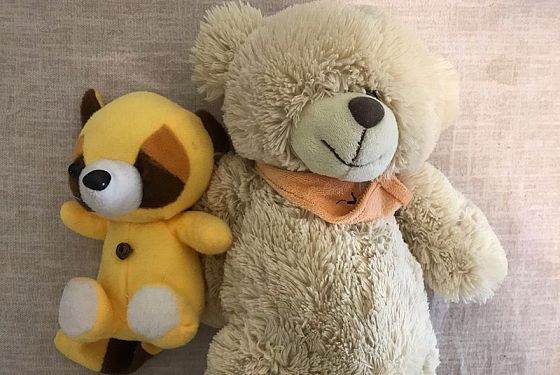 В Пензе девушку могут посадить на два года за украденных кукол