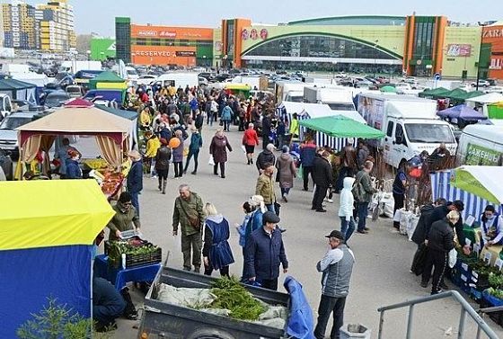 В Пензе прошла ярмарка для дачников и садоводов «АгроFest»