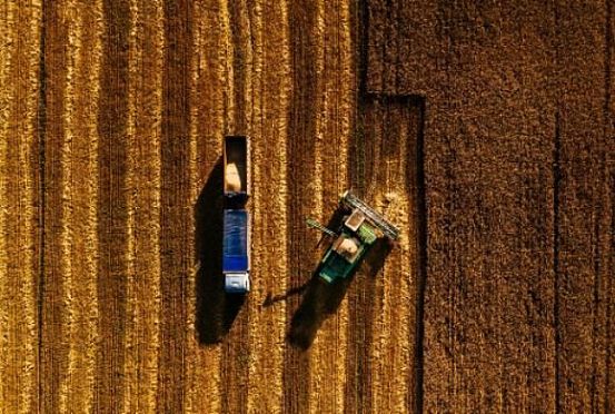 В Пензенской области валовой сбор зерна составил 1,94 млн тонн