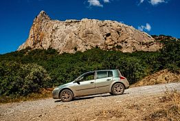 Пензенские ученые взялись за спасение редкой летучей мыши