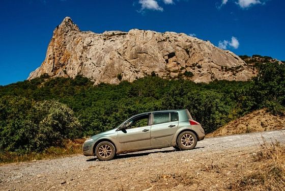 Пензенские ученые взялись за спасение редкой летучей мыши