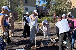 В Пензе на проспекте Победы высадили 25 деревьев