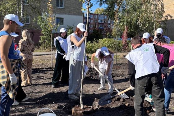 В Пензе на проспекте Победы высадили 25 деревьев