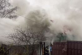 В МЧС назвали причину пяти пожаров Пензенской области