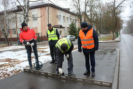 Общественники проинспектировали улицу Попова в Пензе