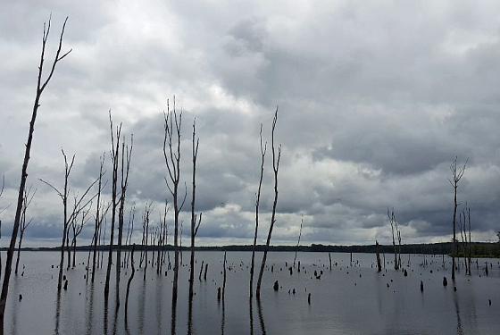 Ученый рассказал, где спрятана мертвая вода в Пензенской области