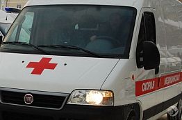 В Пензенской области три легковушки не поделили дорогу с гужевой повозкой В Пензенской области три легковушки не поделили дорогу с гужевой повозкой