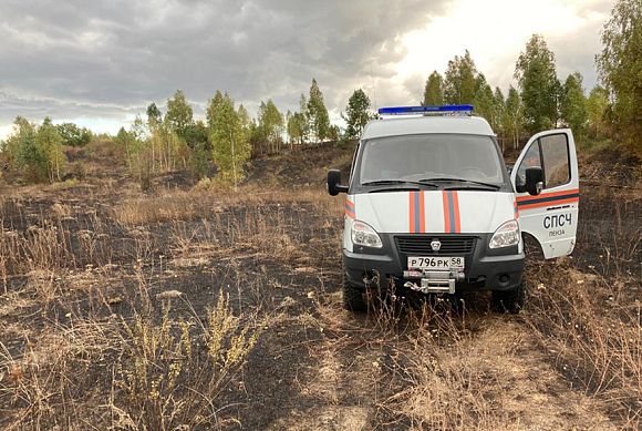 Пензенца накажут за уничтожения посевов пшеницы