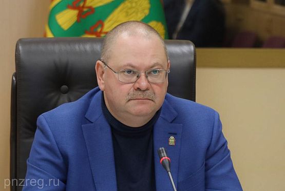 Мельниченко поручил привести в порядок участок трассы М-5