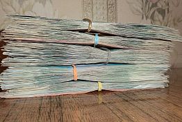 В Заречном два мошенника обманули бабушку на 900 тысяч рублей