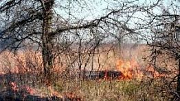 Из искры возгорится большой пожар