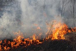 В Пензенской области на выгоревшем поле найден труп