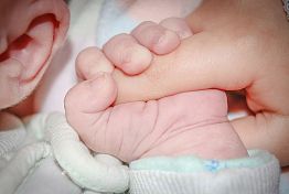 Мельниченко предложил стимулировать раннее рождение первого ребенка
