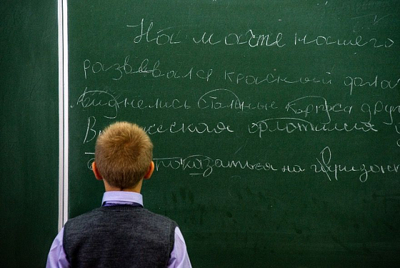 В Пензе возбуждено уголовное дело из‑за массового заболевания школьников