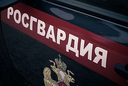 В Пензе осудили подростка, сломавшего руку росгвардейцу В Пензе осудили подростка, сломавшего руку росгвардейцу