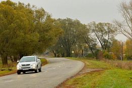 Под Пензой авто насмерть сбило лося