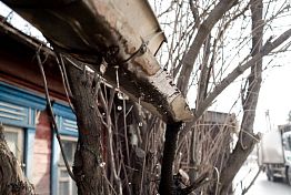 В Пензе обещают +11 градусов 25 марта 2026