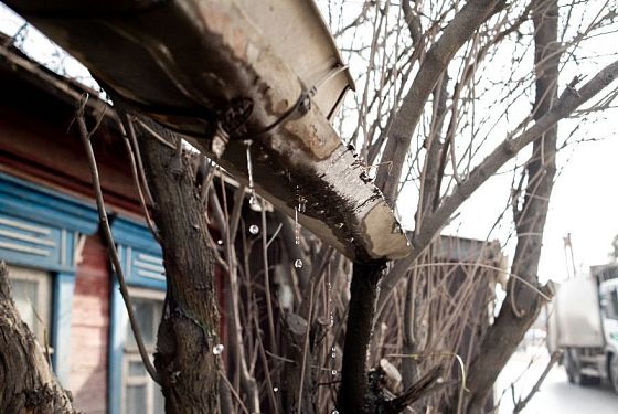 В Пензе обещают +11 градусов 25 марта 2026