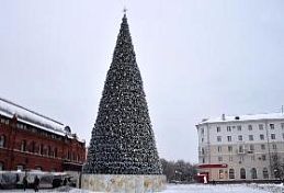 В Пензе завершилась сборка главной елки