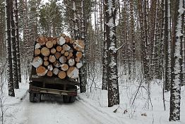В Пензенской области в ходе операции «Лесовоз» выявили нарушения на 1,5 млн В Пензенской области в ходе операции «Лесовоз» выявили нарушения на 1,5 млн