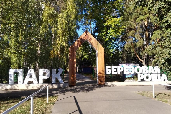 В сердобском парке «Березовая роща» высадят деревья в память участников СВО