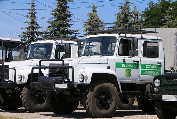 Пензенцам запретили ходить в лес