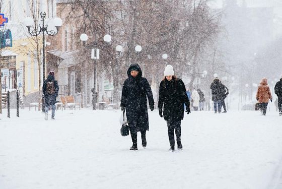 Мельниченко поднял тему некачественного содержания дорог 