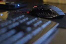 Житель Каменки через интернет заказал поддельные права Житель Каменки через интернет заказал поддельные права