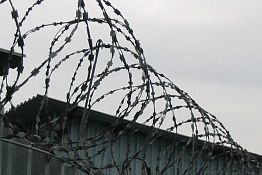 Двое пензенцев осуждены за перевозку героина в желудках