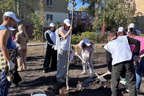 В Пензенской области высадят более 2,3 млн молодых растений