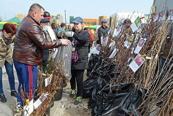 Пензенцев в третий раз приглашают на фестиваль «Агрофест»