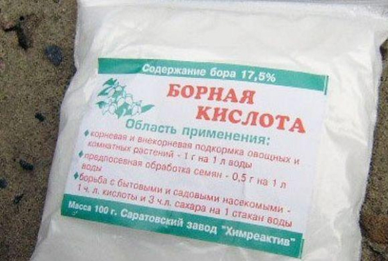 Дозировка борной кислоты 