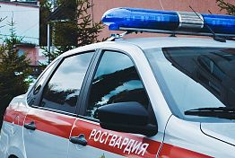 В Пензе росгвардейцы потушили автомобиль