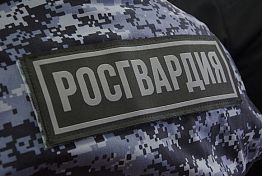 В Пензе хулиганы разбили стекла авто заступившегося за даму таксиста В Пензе хулиганы разбили стекла авто заступившегося за даму таксиста
