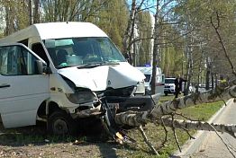 Прокуратура заинтересовалась ДТП с участием маршрутки, которая врезалась в дерево Прокуратура заинтересовалась ДТП с участием маршрутки, которая врезалась в дерево