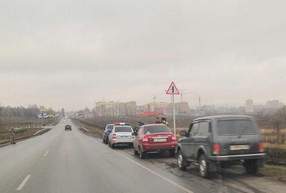 В Засечном 6 ноября автоледи насмерть сбила лосиху