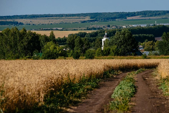 Житель Белинского района из ревности избил сожительницу