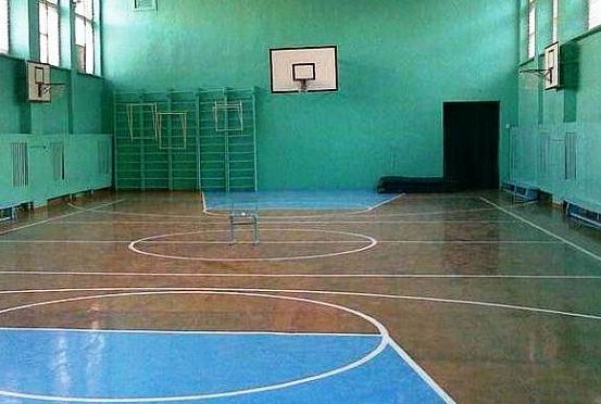 В Пензенской области отремонтированы 74 спортзала в сельских школах