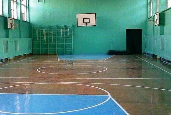 В Пензенской области отремонтированы 74 спортзала в сельских школах