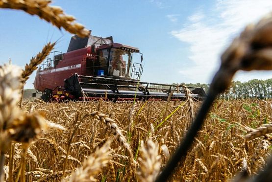 В Пензенской области получено 3 млн 209 тысяч тонн зерна