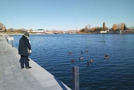 В Пензе на набережной могут появиться плавучие фонтаны В Пензе на набережной могут появиться плавучие фонтаны