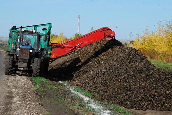 Посевные площади сахарного завода в Земетчино будут увеличены