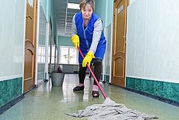 В Пензе клинер может заработать до 40 тыс рублей В Пензе клинер может заработать до 40 тыс рублей