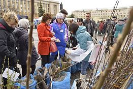 В Пензе 29 апреля на пл. Ленина вновь будет работать ярмарка для дачников В Пензе 29 апреля на пл. Ленина вновь будет работать ярмарка для дачников