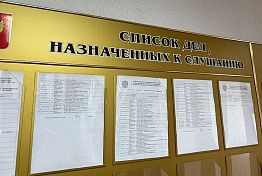 Бессоновский суд вынес приговор виновнику гибели электромонтера