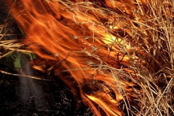 В Городищенском районе 15 человек тушили природный пожар
