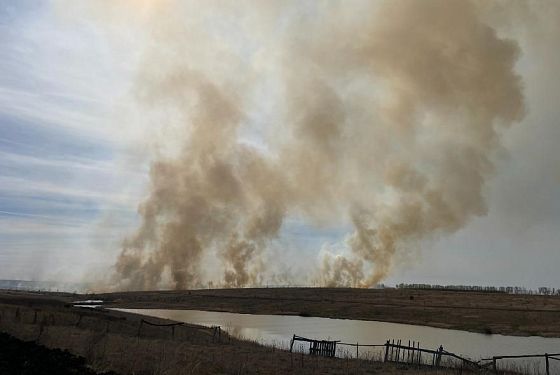 Более 40 раз пензенские пожарные выезжали на тушение травы