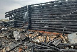 В Никольском районе назвали причину гибели трех человек В Никольском районе назвали причину гибели трех человек