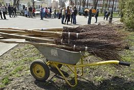 Первая санитарная пятница пройдет в Пензе 13 марта